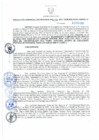 Vista preliminar de documento Resolución Gerencial Sub Regional N° 00020-2021