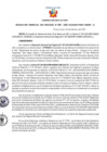 Vista preliminar de documento Resolución Gerencial Sub Regional N° 00029-2021