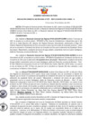 Vista preliminar de documento Resolución Gerencial Sub Regional N° 00031-2021