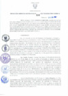 Vista preliminar de documento Resolución Gerencial Sub Regional N° 00114-2021