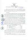 Vista preliminar de documento Resolución Gerencial Sub Regional N° 00156-2021