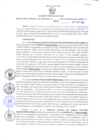 Vista preliminar de documento Resolución Gerencial Sub Regional N° 00161-2021