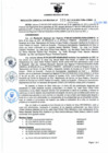 Vista preliminar de documento Resolución Gerencial Sub Regional N° 00169-2021