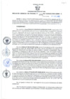 Vista preliminar de documento Resolución Gerencial Sub Regional N° 00173-2021