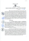 Vista preliminar de documento Resolución Gerencial Sub Regional N° 00172-2021