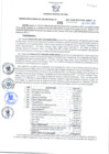 Vista preliminar de documento Resolución Gerencial Sub Regional N° 00191-2021