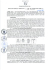 Vista preliminar de documento Resolución Gerencial Sub Regional N° 00195-2021