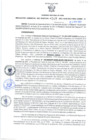 Vista preliminar de documento Resolución Gerencial Sub Regional N° 00207-2021