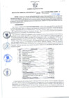 Vista preliminar de documento Resolución Gerencial Sub Regional N° 00203-2021