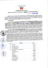 Vista preliminar de documento Resolución Gerencial Sub Regional N° 00208-2021
