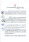 Vista preliminar de documento Resolución Gerencial Sub Regional N° 00212-2021
