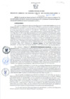 Vista preliminar de documento Resolución Gerencial Sub Regional N° 00217-2021