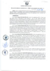 Vista preliminar de documento Resolución Gerencial Sub Regional N° 00246-2021