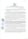 Vista preliminar de documento Resolución Gerencial Sub Regional N° 00252-2021
