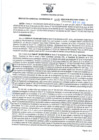 Vista preliminar de documento Resolución Gerencial Sub Regional N° 00005-2022