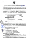 Vista preliminar de documento Resolución Gerencial Sub Regional N° 00019-2022