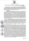 Vista preliminar de documento Resolución Gerencial Sub Regional N° 00029-2022