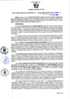 Vista preliminar de documento Resolución Gerencial Sub Regional N° 00061-2022