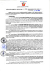 Vista preliminar de documento Resolución Gerencial Sub Regional N° 00100-2022