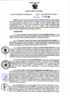 Vista preliminar de documento Resolución Gerencial Sub Regional N° 00113-2022