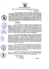 Vista preliminar de documento Resolución Gerencial Sub Regional N° 00114-2022