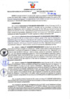 Vista preliminar de documento Resolución Gerencial Sub Regional N° 00133-2022