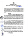 Vista preliminar de documento Resolución Gerencial Sub Regional N° 00162-2022