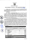 Vista preliminar de documento Resolución Gerencial Sub Regional N° 00195-2022