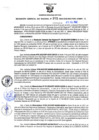 Vista preliminar de documento Resolución Gerencial Sub Regional N° 00205-2022