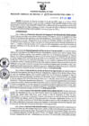 Vista preliminar de documento Resolución Gerencial Sub Regional N° 00207-2022