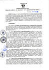 Vista preliminar de documento Resolución Gerencial Sub Regional N° 00219-2022