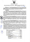 Vista preliminar de documento Resolución Gerencial Sub Regional N° 00244-2022