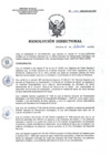 Vista preliminar de documento RD 144-2022-SA-DG-INR.pdf
