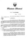 Vista preliminar de documento RD N° 384-2022.pdf