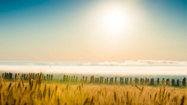 Imagen de paisaje