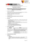 Vista preliminar de documento Convocatoria 046 