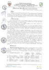 Vista preliminar de documento resolucion-alcaldiaN429.pdf