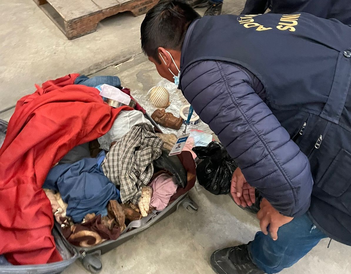 Tacna: Ministerio de Cultura recupera dos bienes culturales prehispánicos hallados en empresa de encomiendas