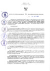 Vista preliminar de documento RGRDE N° 014-2022