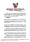 Vista preliminar de documento Resolución N° 295-2022-SUNARP_GG