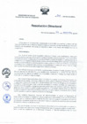 Vista preliminar de documento 265.pdf