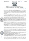 Vista preliminar de documento RD N°268-2022-DG-HMA.pdf