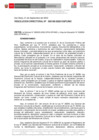 Vista preliminar de documento RD N° 000195-2022-DGPC-MC.pdf