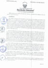Vista preliminar de documento RES.D.N°095.pdf