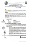 Vista preliminar de documento R_GM_317-2022-GM