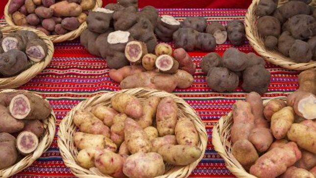 Biblioteca del Ministerio de Cultura conmemora el Día Mundial de la Alimentación con publicaciones digitalizadas