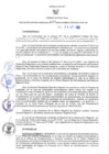 Vista preliminar de documento RER N° 551-2022
