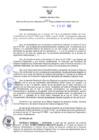 Vista preliminar de documento RER N° 554-2022
