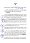 Vista preliminar de documento RES-333-2022-GRDS