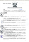 Vista preliminar de documento RD N°274-2022-DG-HMA.pdf